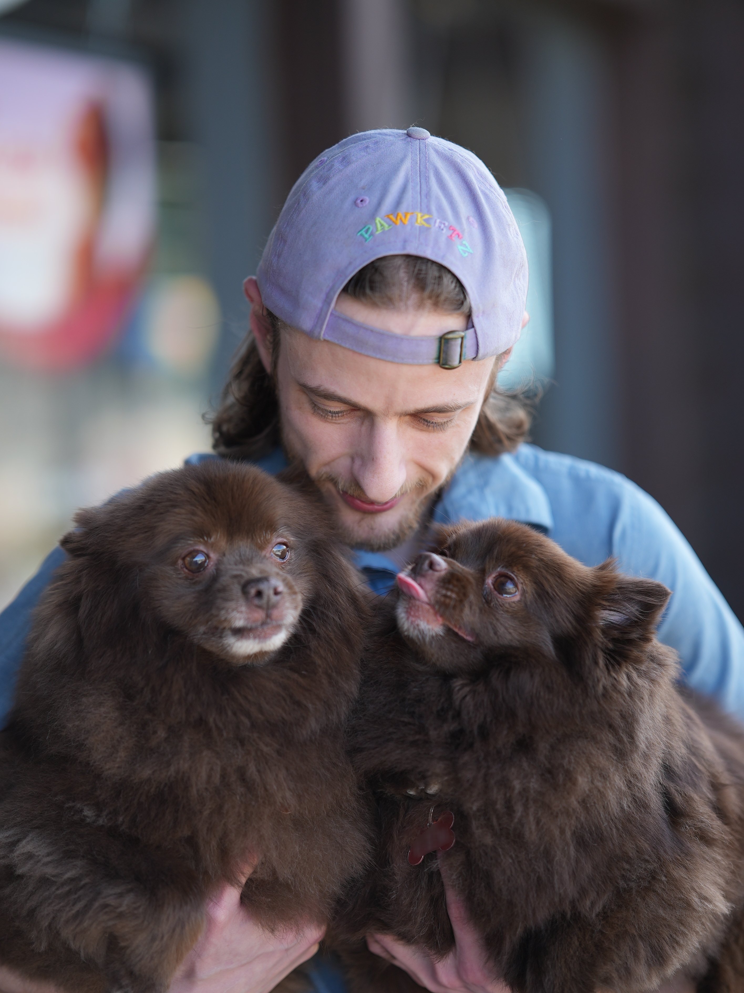 Pawketz, the variety streamer, wearing a purple Pawketz cap and holding two of the pomeranian crew