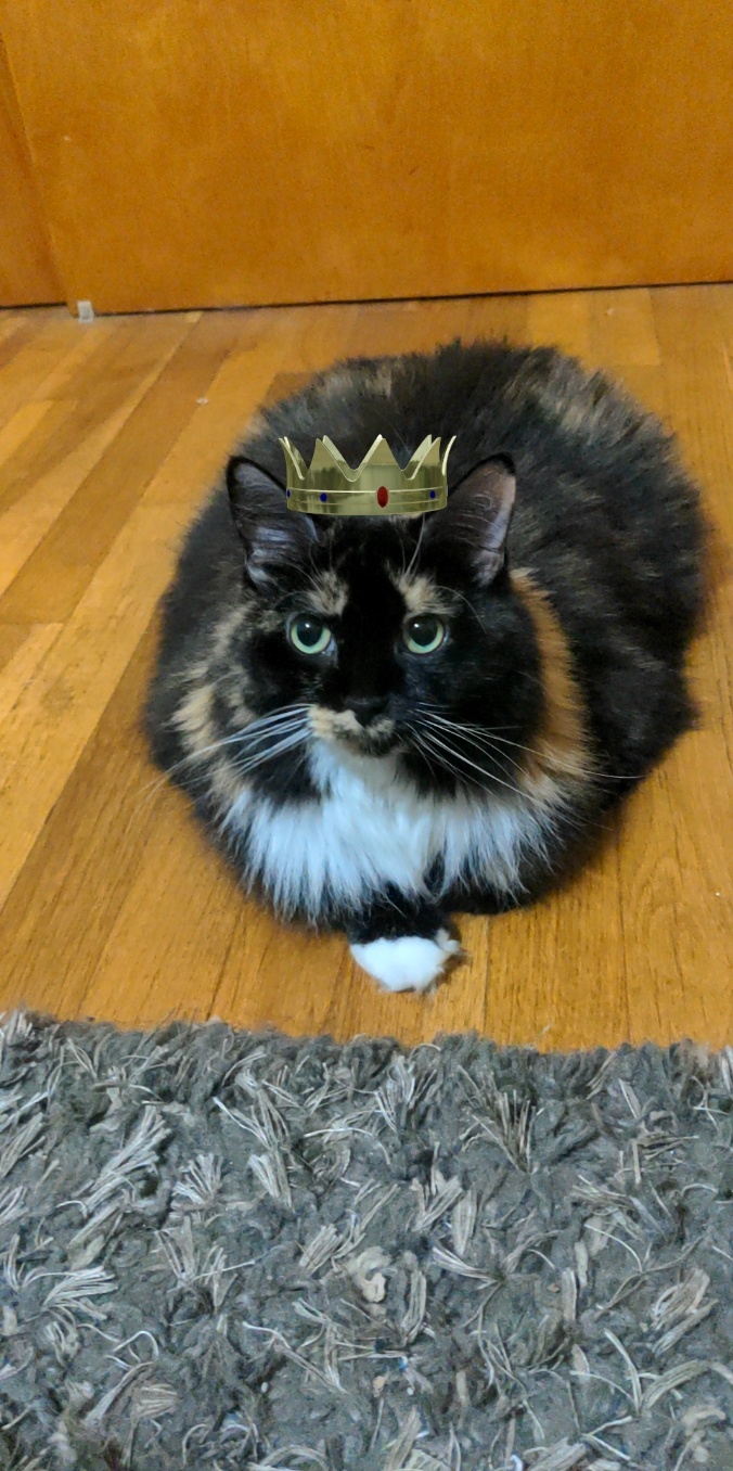 Lei, a member of the Pawketz pet crew